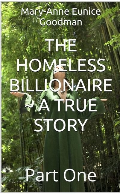 The Homeless Billionaire ~ A True Story ~ Part 1