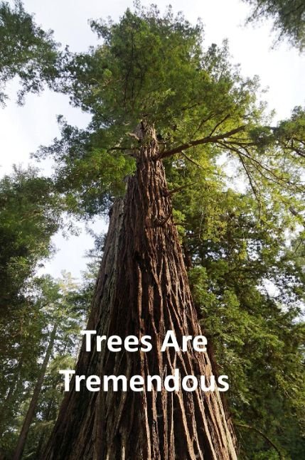 Trees Are Tremendous