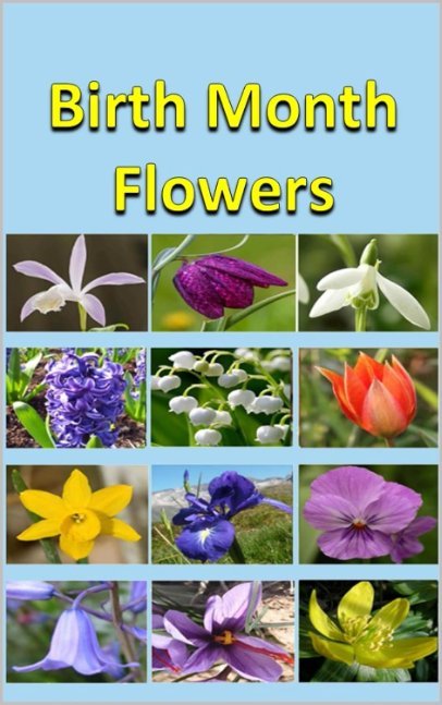 Birth Month Flowers