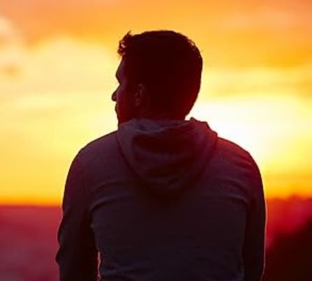 Profile image of Mark Stone